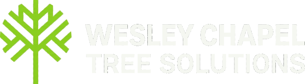 Wesley Chapel Tree Solutions — Tree Removal, Trimming & Stump Grinding in Wesley Chapel, FL