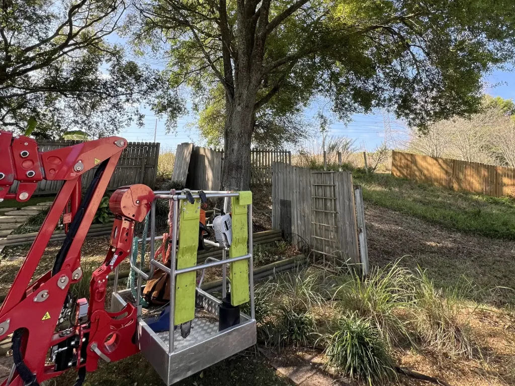 Tampa  Land Clearing Services