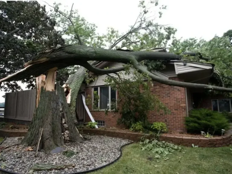 Storm Damage Cleanup