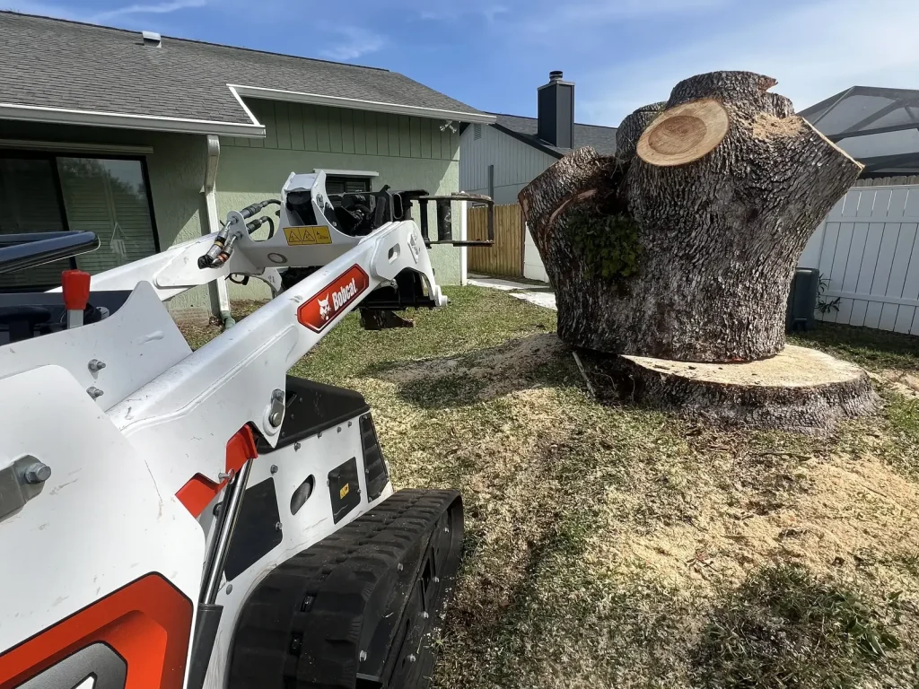 Tampa  Stump Grinding Services