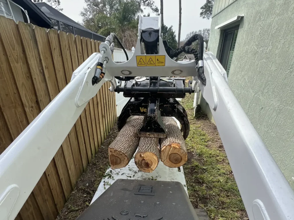 Tampa  Tree Removal Services